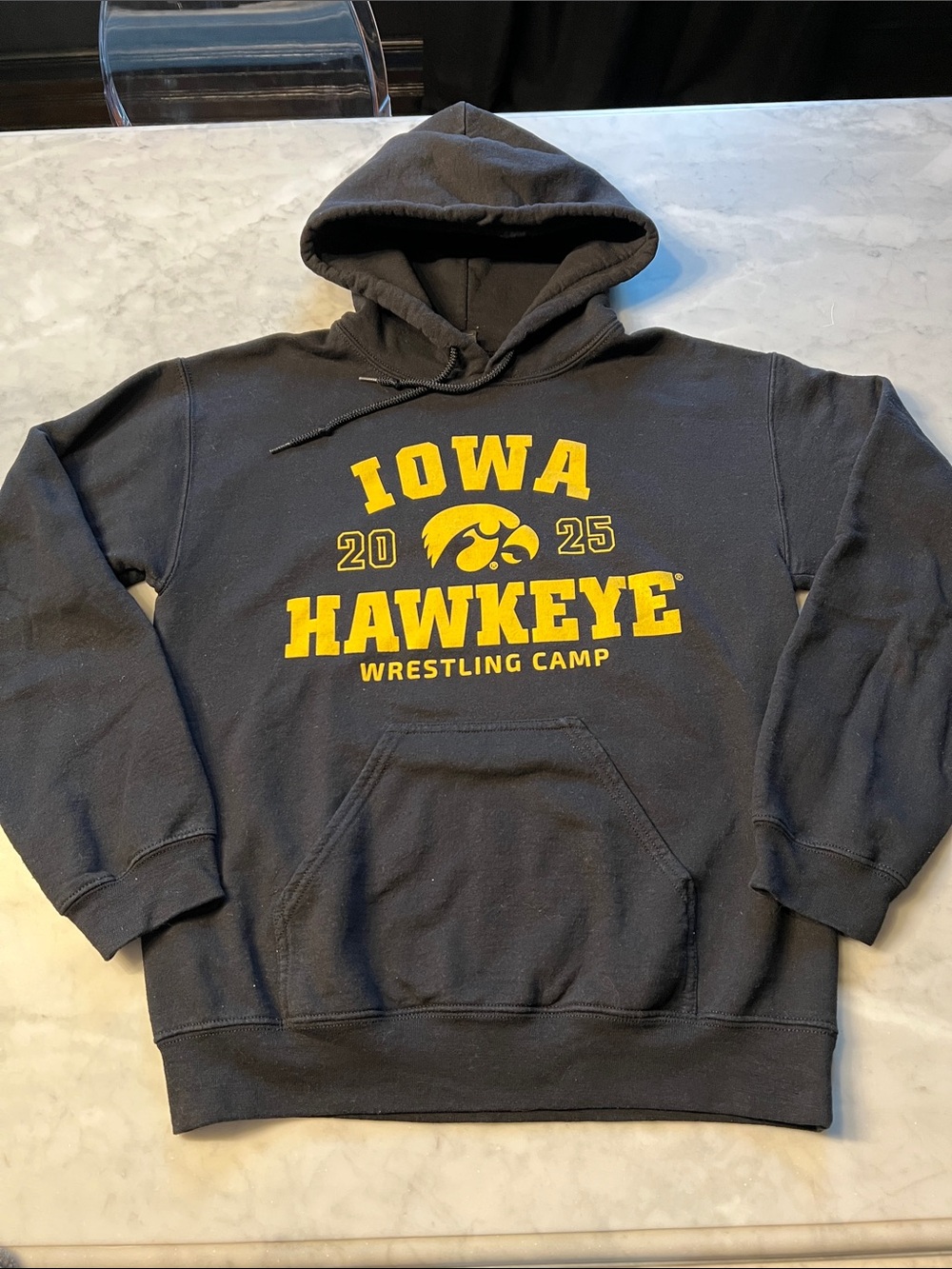 Iowa Hawkeye wrestling camp 2025 pullover hooded sweatshirt. Men’s unisex small.